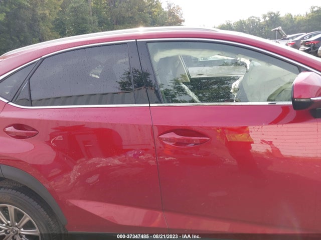 2021 Lexus NX, VIN: JTJDARDZ7M2262665