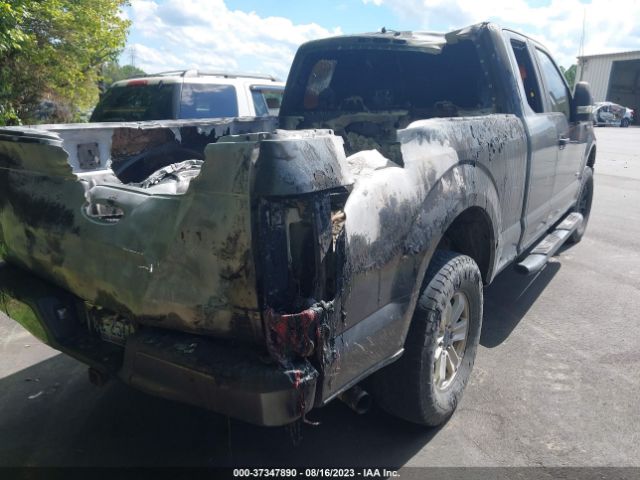 1FTEX1EP7FFB56149 Ford F-150 Xlt/xl/lariat
