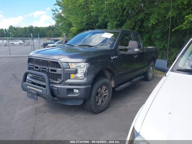 1FTEX1EP7FFB56149 Ford F-150 Xlt/xl/lariat