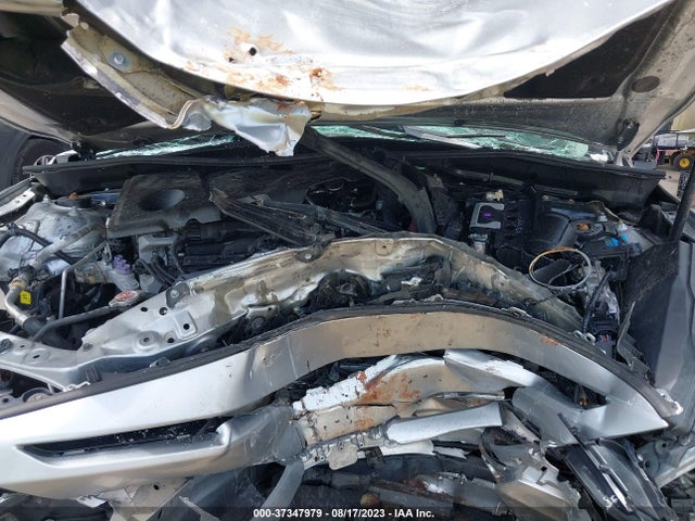 2020 TOYOTA CAMRY SE VIN: 4T1G11AK4LU883000