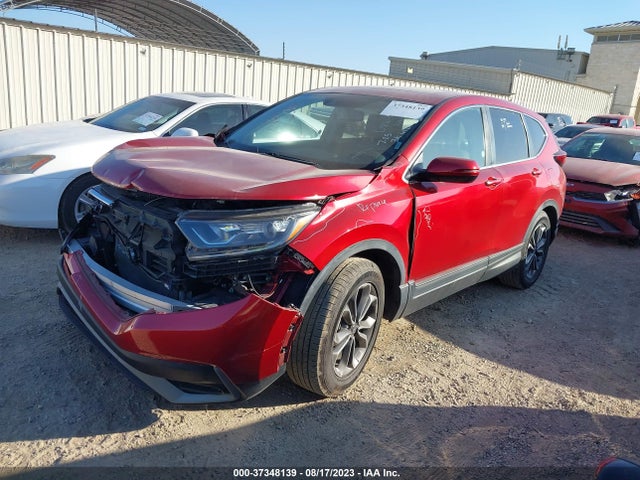 Honda Cr-v Ex-l 2020 5J6RW1H8XLA011702 Image 2