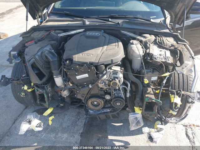 2019 AUDI A4 PREMIUM PLUS VIN: WAUENAF48KN012102