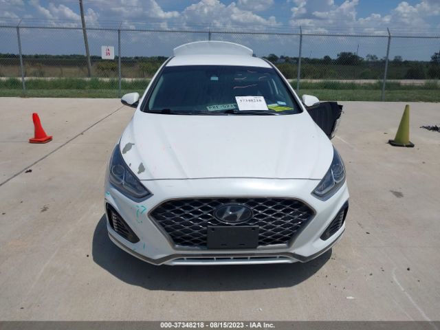 5NPE34AF7KH779023 Hyundai SONATA SEL