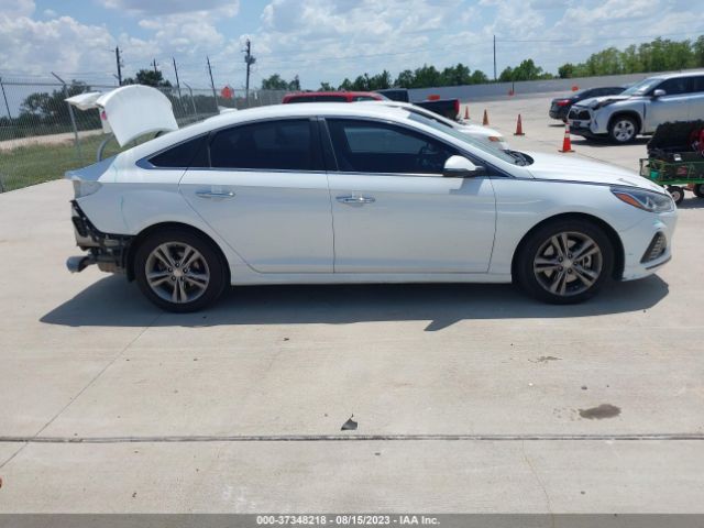 5NPE34AF7KH779023 Hyundai SONATA SEL