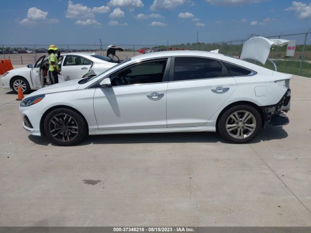 5NPE34AF7KH779023 Hyundai SONATA SEL