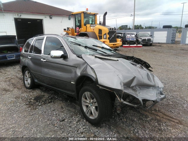 2006 BMW X5 4.4I VIN: 5UXFB53556LV25098