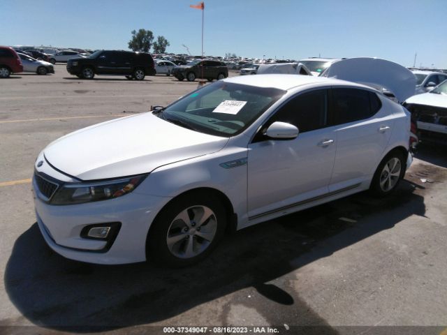 KNAGM4AD8G5096661 KIA OPTIMA HYBRID