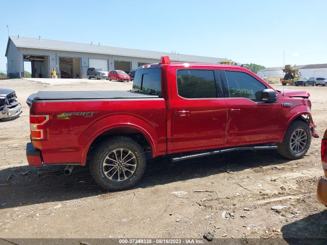 2019 FORD F-150 XLT VIN: 1FTEW1EP2KFA33923