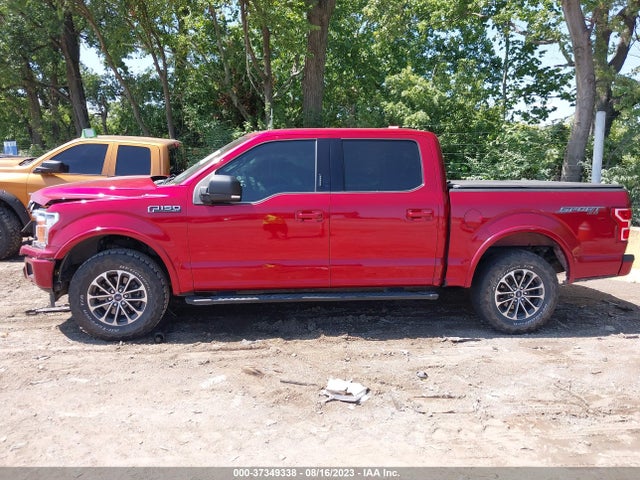 2019 FORD F-150 XLT VIN: 1FTEW1EP2KFA33923