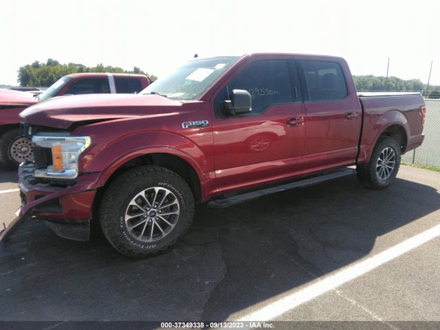 2019 FORD F-150 XLT VIN: 1FTEW1EP2KFA33923