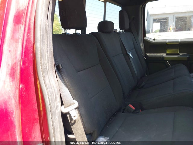 2019 FORD F-150 XLT VIN: 1FTEW1EP2KFA33923