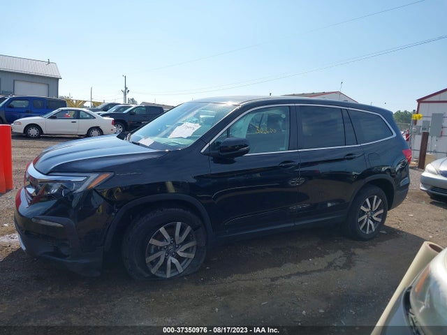 Honda Pilot Ex-l 2019 5FNYF6H5XKB069626 Image 14