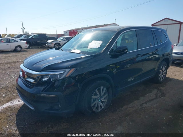 Honda Pilot Ex-l 2019 5FNYF6H5XKB069626 Image 2