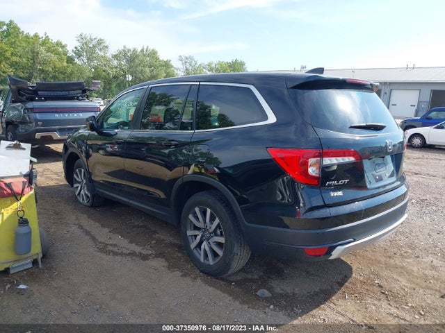 Honda Pilot Ex-l 2019 5FNYF6H5XKB069626 Image 3