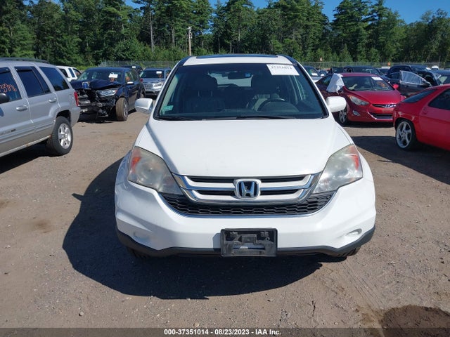 2010 HONDA CR-V EX-L VIN: 5J6RE4H71AL025145