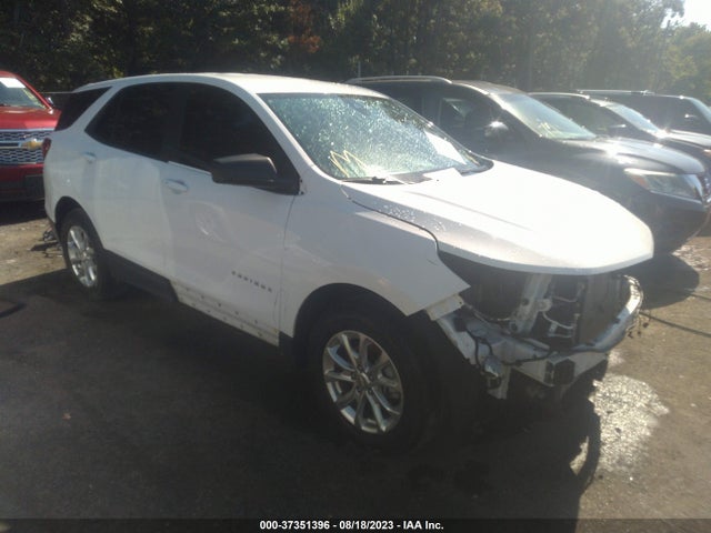 Chevrolet EQUINOX LS 2021 3GNAXHEV5MS176308 Image 1