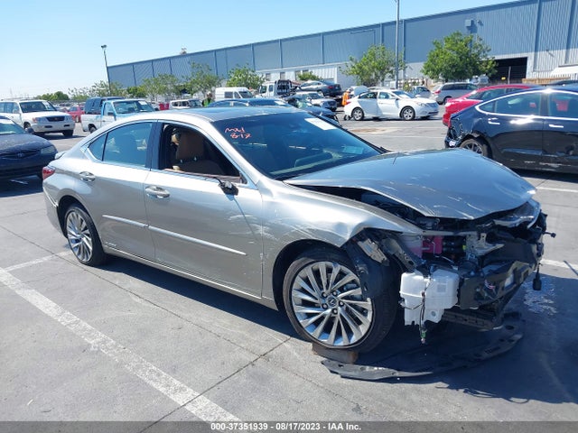 2021 LEXUS ES ES 300H LUXURY VIN: 58AEA1C14MU011664