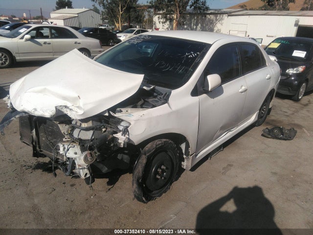 2010 TOYOTA COROLLA VIN: 2T1BU4EE8AC410156