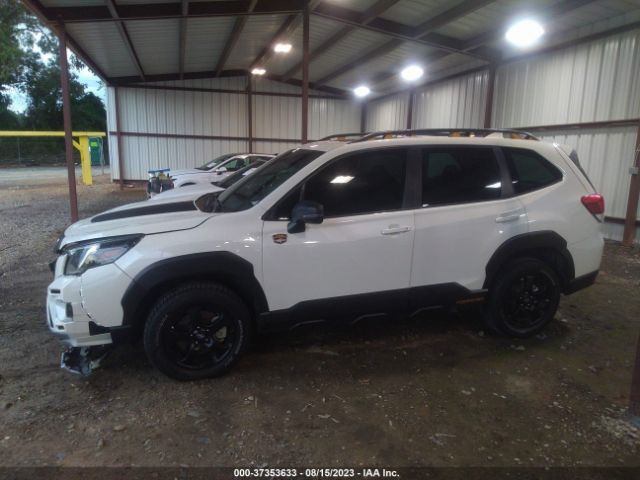 JF2SKAMC7PH420283 Subaru Forester Wilderness