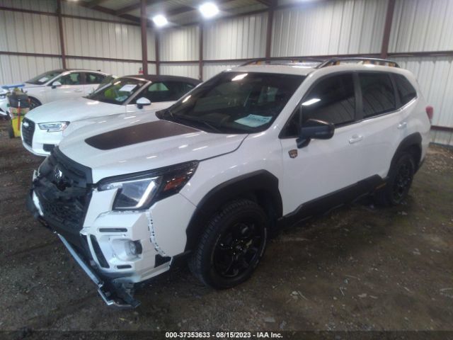 JF2SKAMC7PH420283 Subaru Forester Wilderness