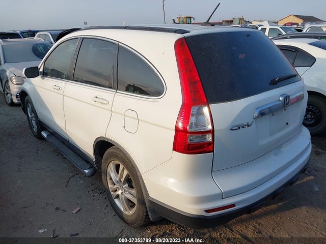 2010 HONDA CR-V EX-L VIN: JHLRE3H71AC011684