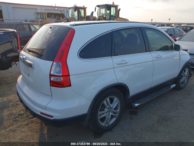 2010 HONDA CR-V EX-L VIN: JHLRE3H71AC011684