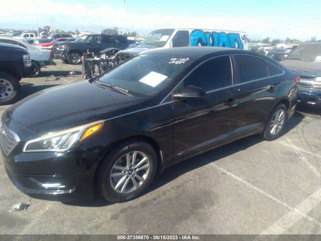 Hyundai SONATA SE 2016 5NPE24AF3GH304365 Image 2
