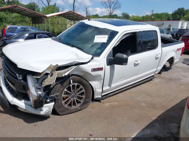 1FTEW1E42KFD10561 Ford F-150 Xl/xlt/lariat