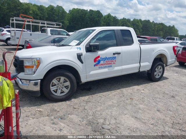 1FTEX1CB1MKE77163 Ford F-150 Xl/xlt