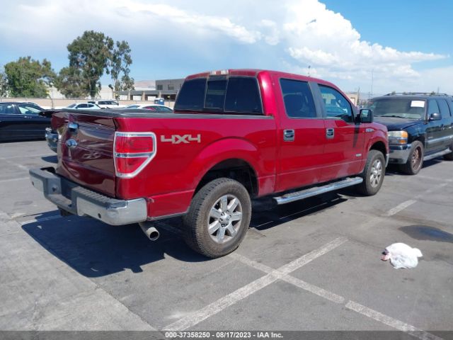 1FTFW1ET7EKE98128 Ford F-150 Xl/xlt/fx4/lariat
