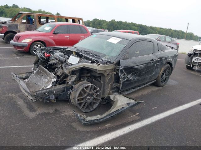 1ZVBP8AM7E5270807 Ford Mustang V6