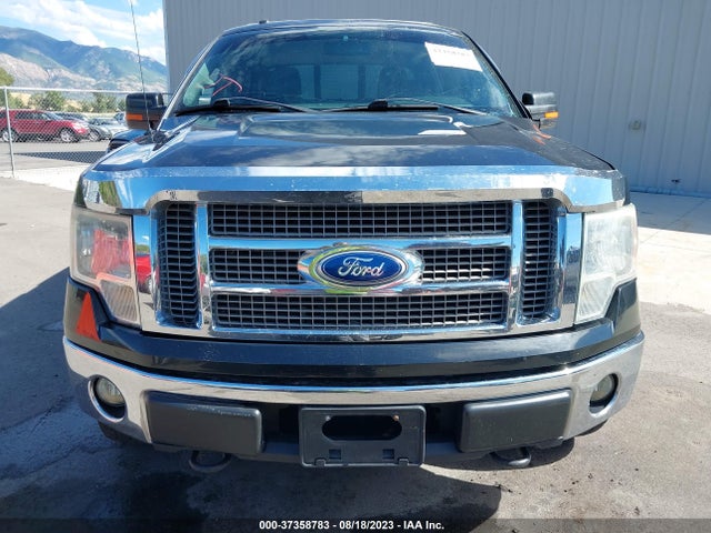 2010 FORD F-150 XL/XLT/FX4/LARIAT VIN: 1FTFW1EV4AFC97629