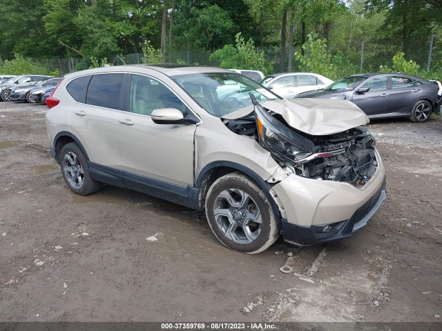 2019 2HKRW2H55KH639658 main image