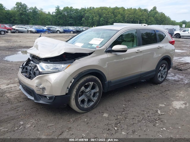 Honda CR-V EX 2019 2HKRW2H55KH639658 Image 2