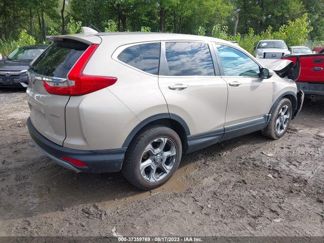 Honda CR-V EX 2019 2HKRW2H55KH639658 Image 4