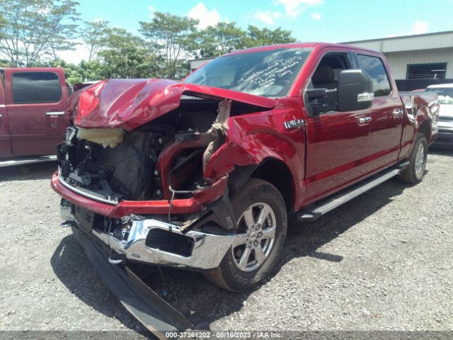 1FTFW1E48KFA87480 Ford F-150 Xlt
