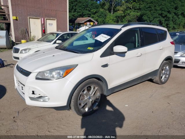 1FMCU9G9XEUA16356 Ford ESCAPE SE