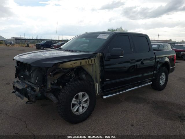 1FTEW1EP3FKE35530 Ford F-150 Xlt/xl/lariat
