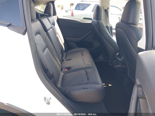 2023 TESLA MODEL Y 7SAYGDEE7PF602371 Photo 7