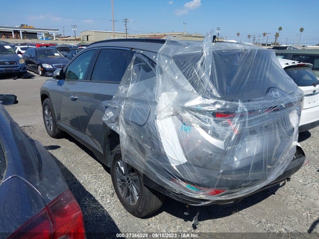 Hyundai Tucson Hybrid Blue 2023 KM8JBCA17PU106273 Image 10