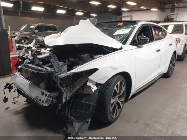 1N4AA6AP0GC436099 Nissan Maxima 3.5 Sl