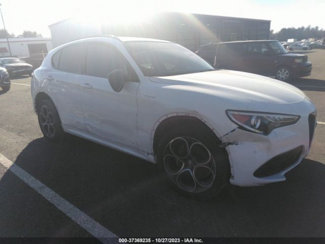 2022 ALFA ROMEO STELVIO ZASPAKBN4N7D27829