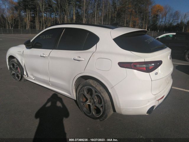 2022 ALFA ROMEO STELVIO ZASPAKBN4N7D27829 Photo 2