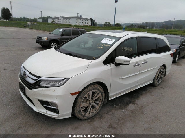 Honda Odyssey Elite 2019 5FNRL6H94KB030823 Image 2