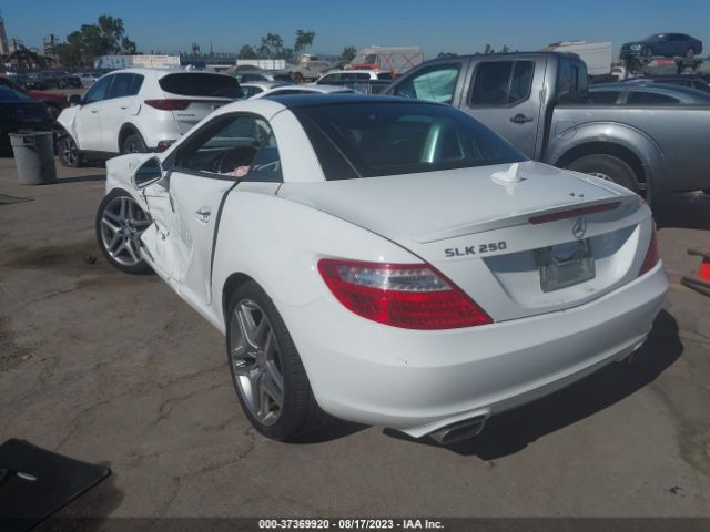WDDPK4HA8FF100145 Mercedes-Benz Slk-class Slk 250