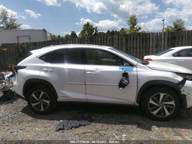 2019 LEXUS NX NX 300H VIN: JTJBJRBZ3K2116321