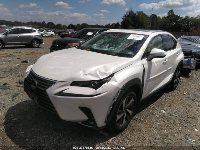 2019 LEXUS NX NX 300H VIN: JTJBJRBZ3K2116321