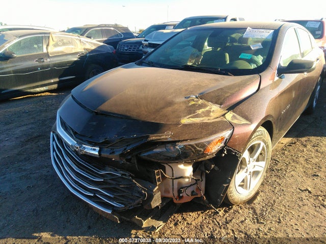 Chevrolet MALIBU LS 2020 1G1ZB5ST4LF145249 Image 6