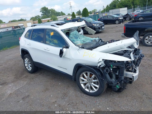2014 JEEP CHEROKEE LIMITED VIN: 1C4PJMDS2EW308435