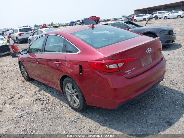Hyundai Sonata 2.4l Se 2016 5NPE24AF0GH352891 Image 3